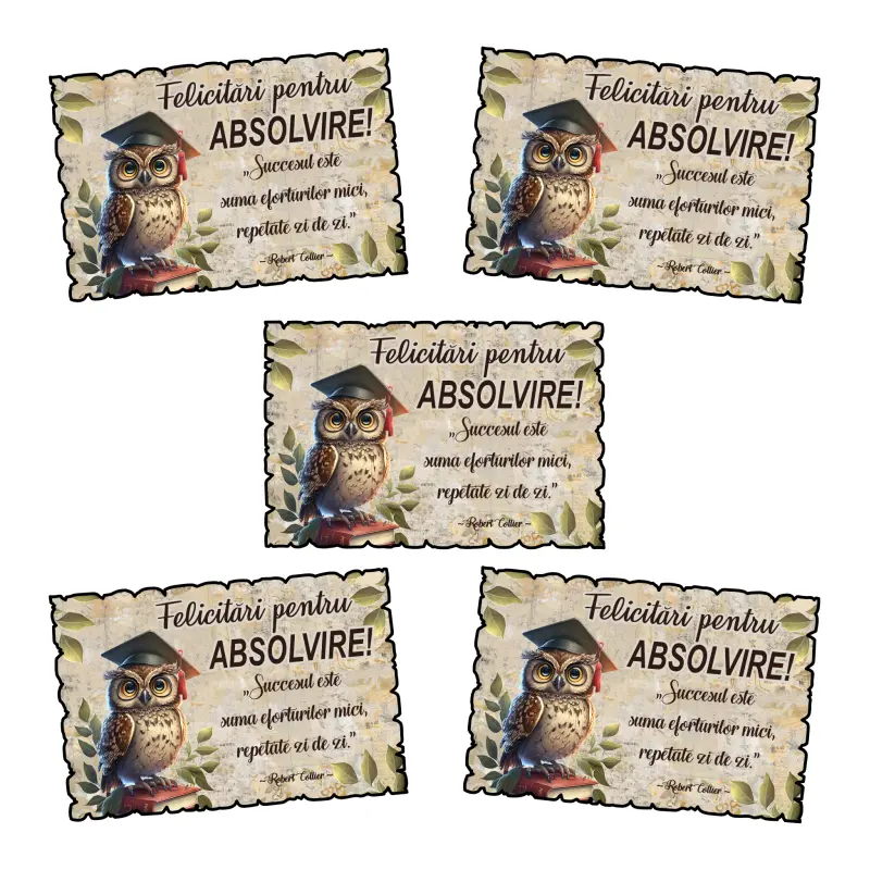 Felicitari pentru absolvire, magnet frigider, model mgs304